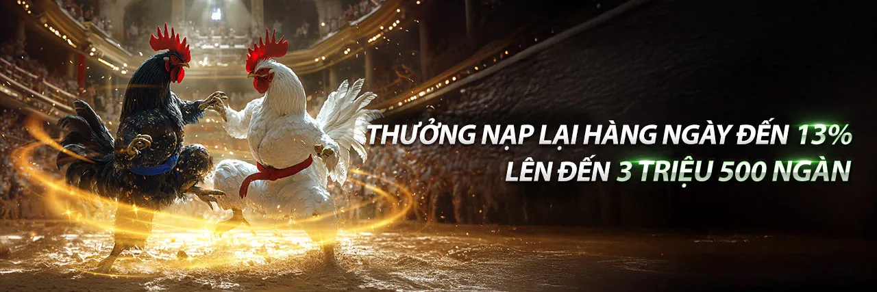 Điều Khoản Dịch Vụ sao789 casino